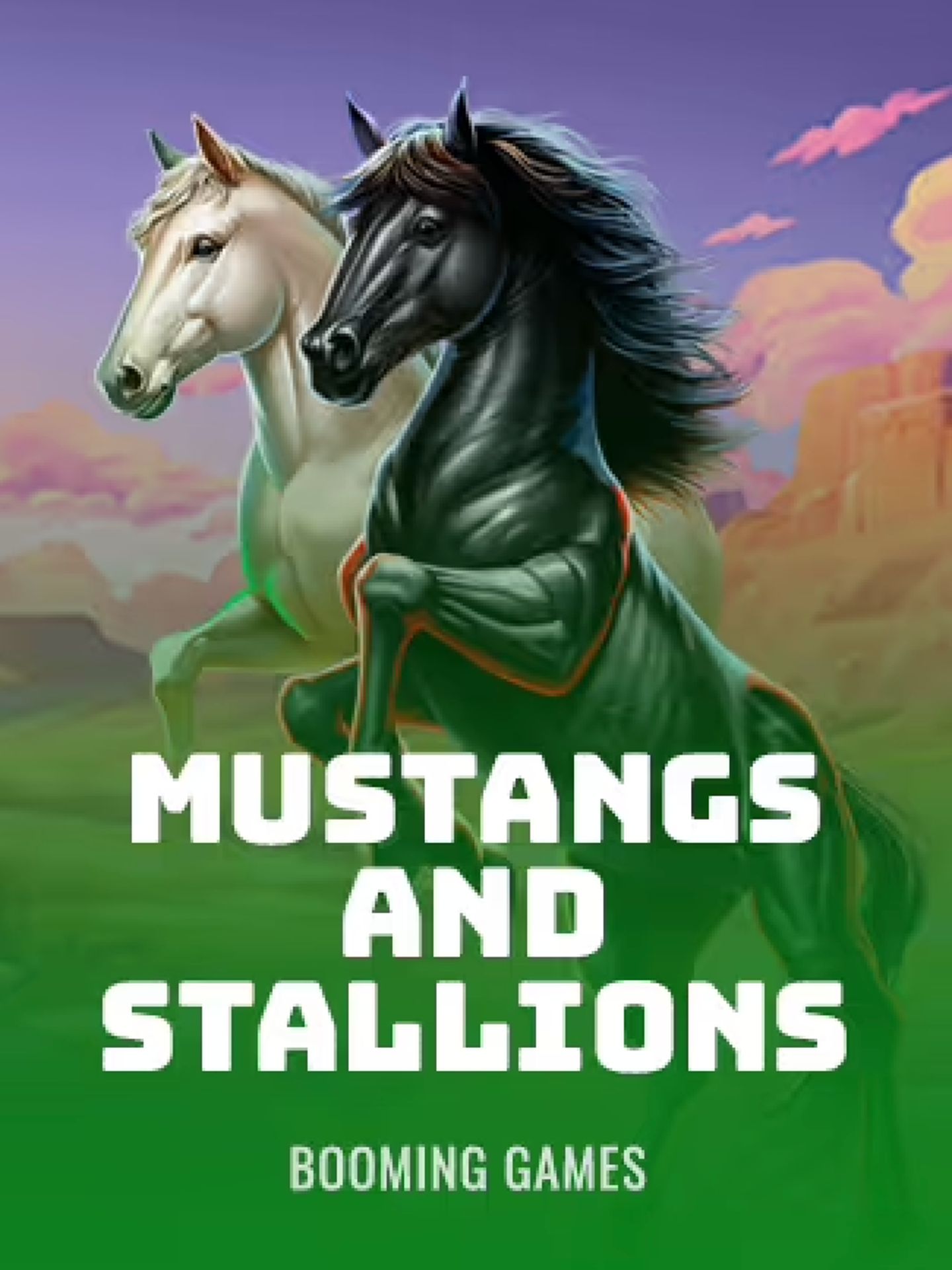 Mustang and Stallions
