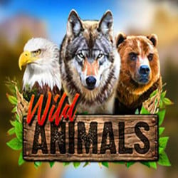 Wild Animals