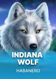 Indiana Wolf