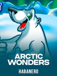 Arctic Wonders