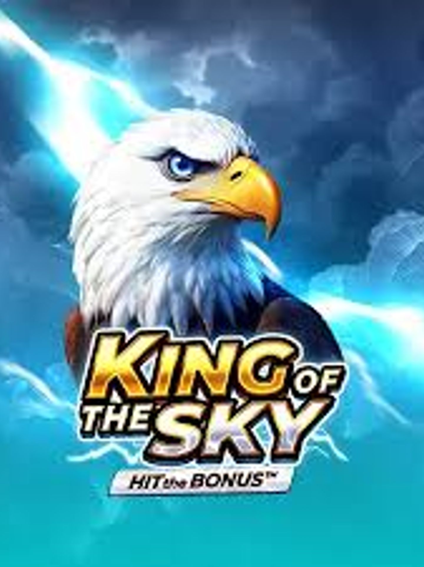 King of the Sky: Hit the Bon