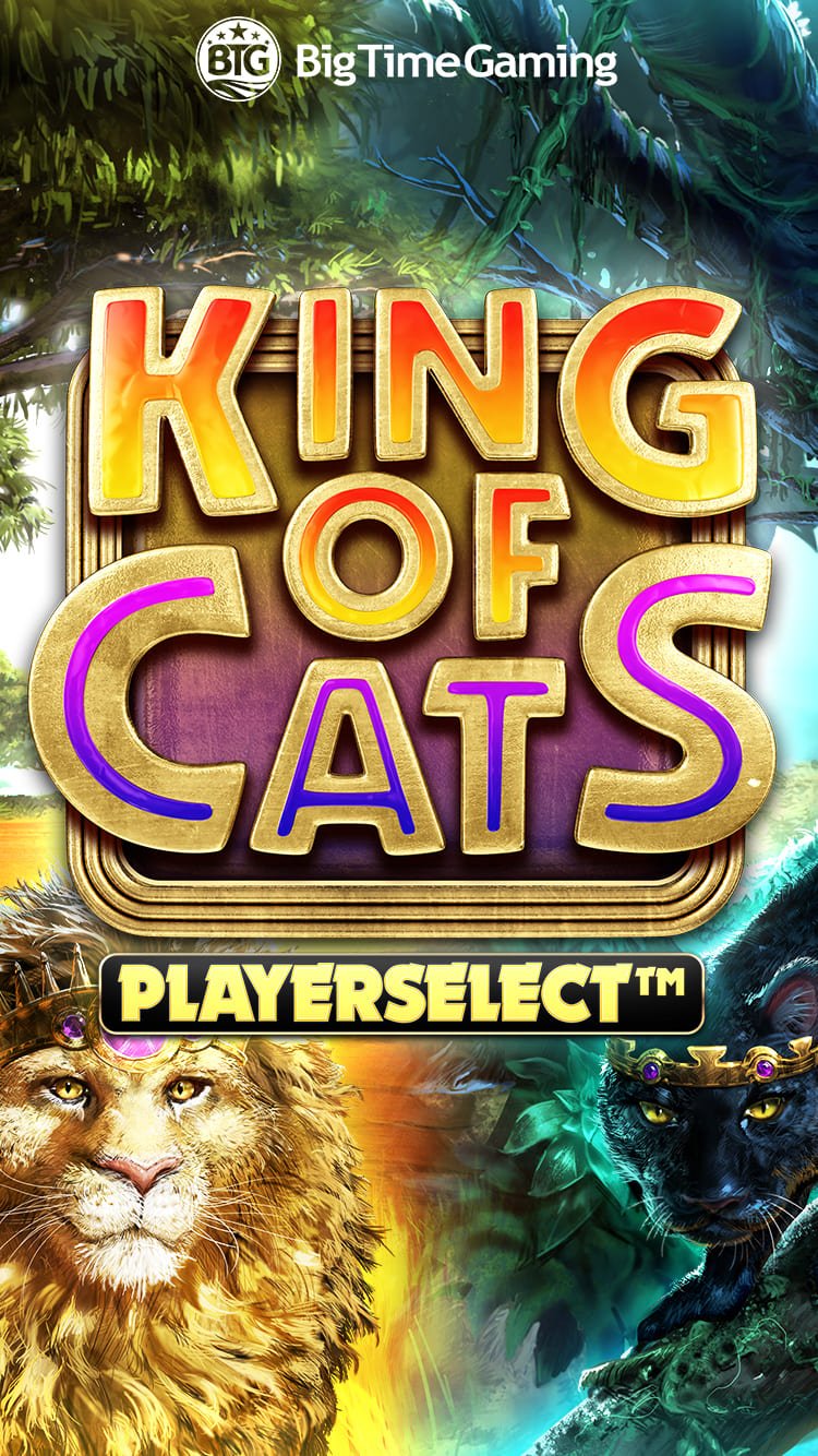 King of Cats Megaways 94