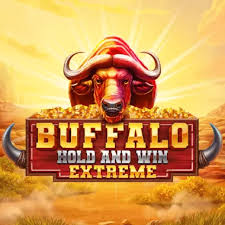 Buffalo hold and win extreme