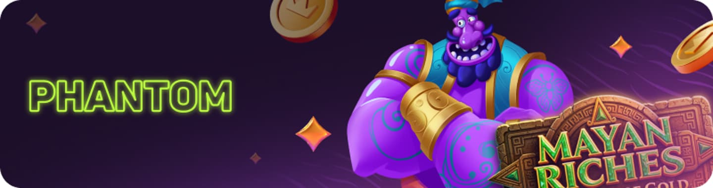 Phantom Spins