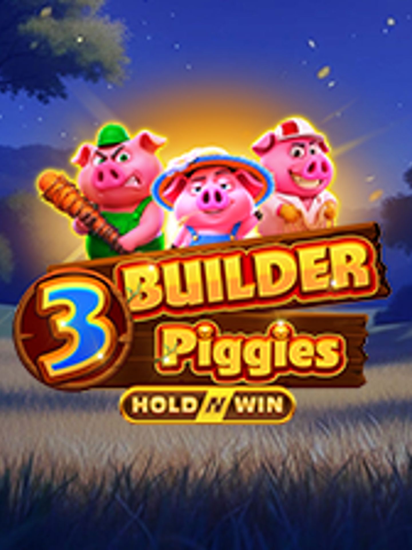 3 Builder Piggies