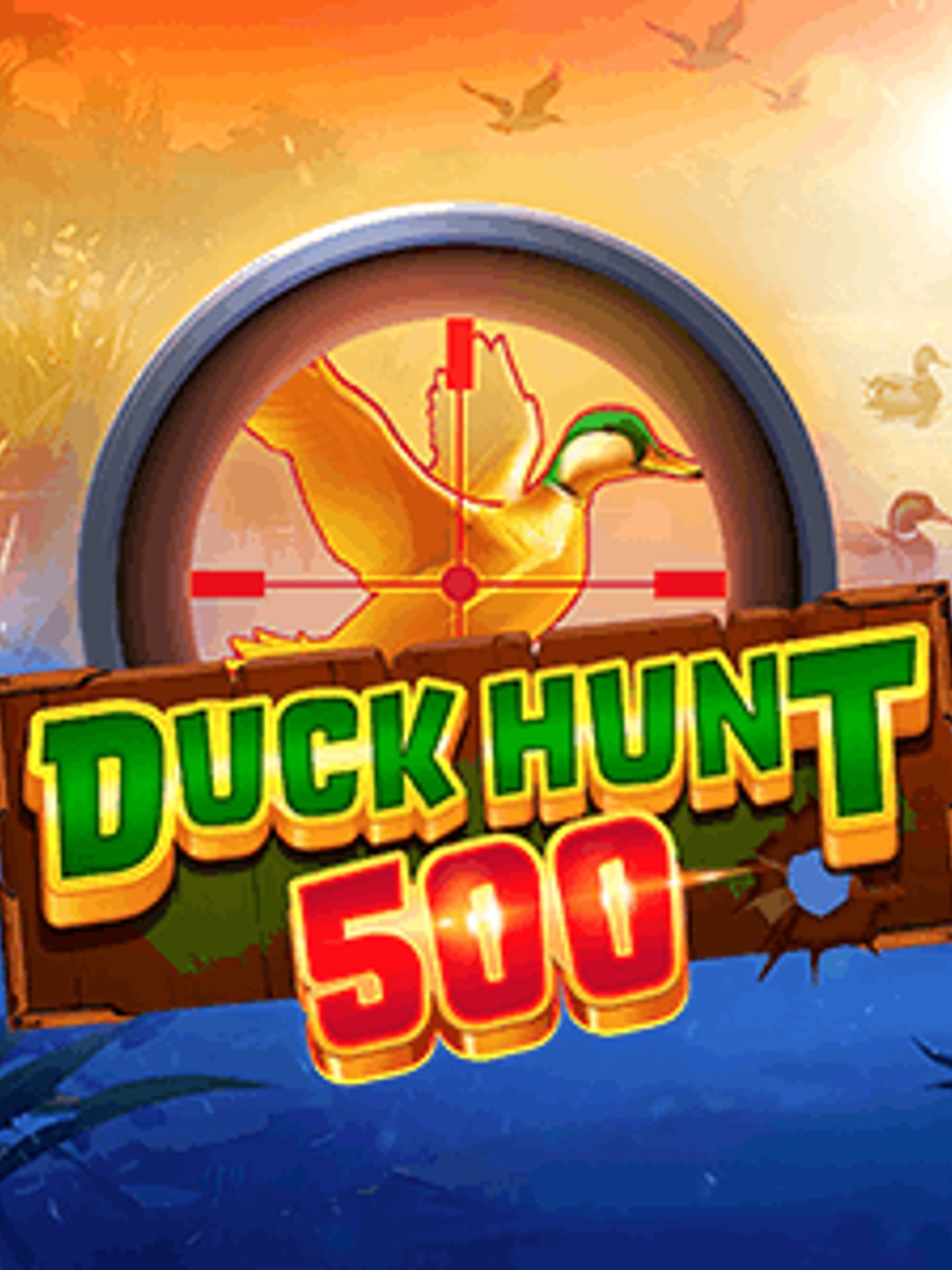 Duck Hunt 500