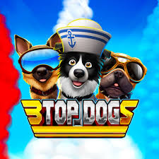 3 Top Dogs