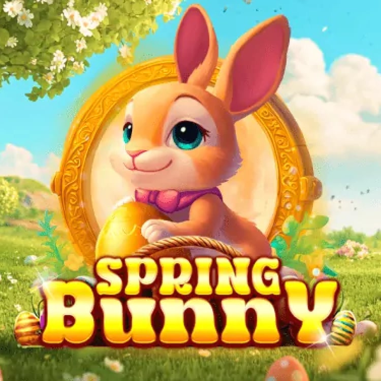 Spring Bunny