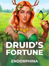 Druid Fortune