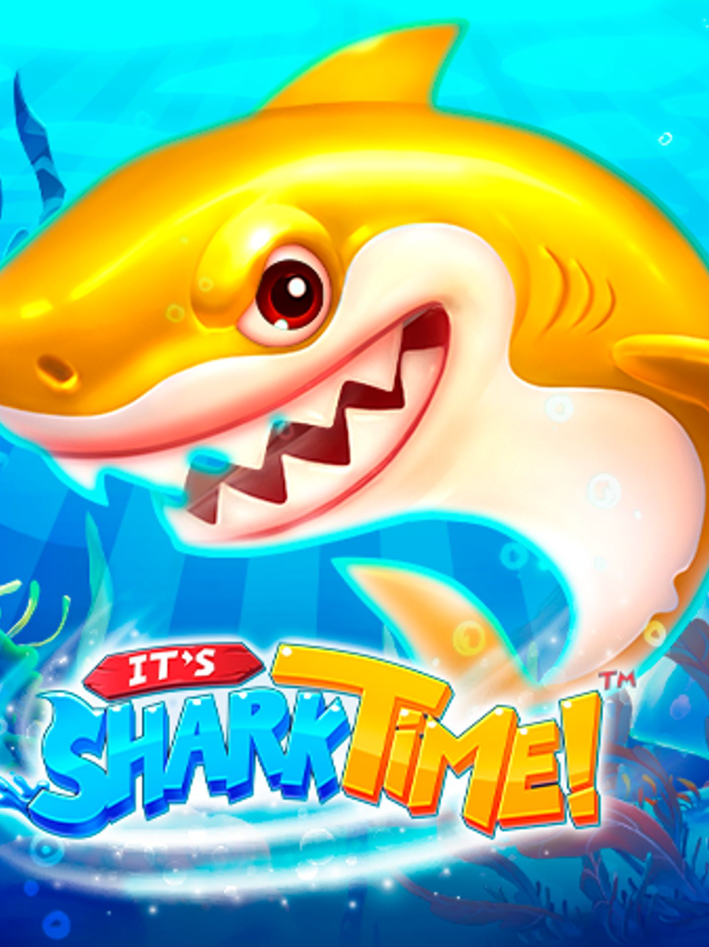 It's Shark Time!