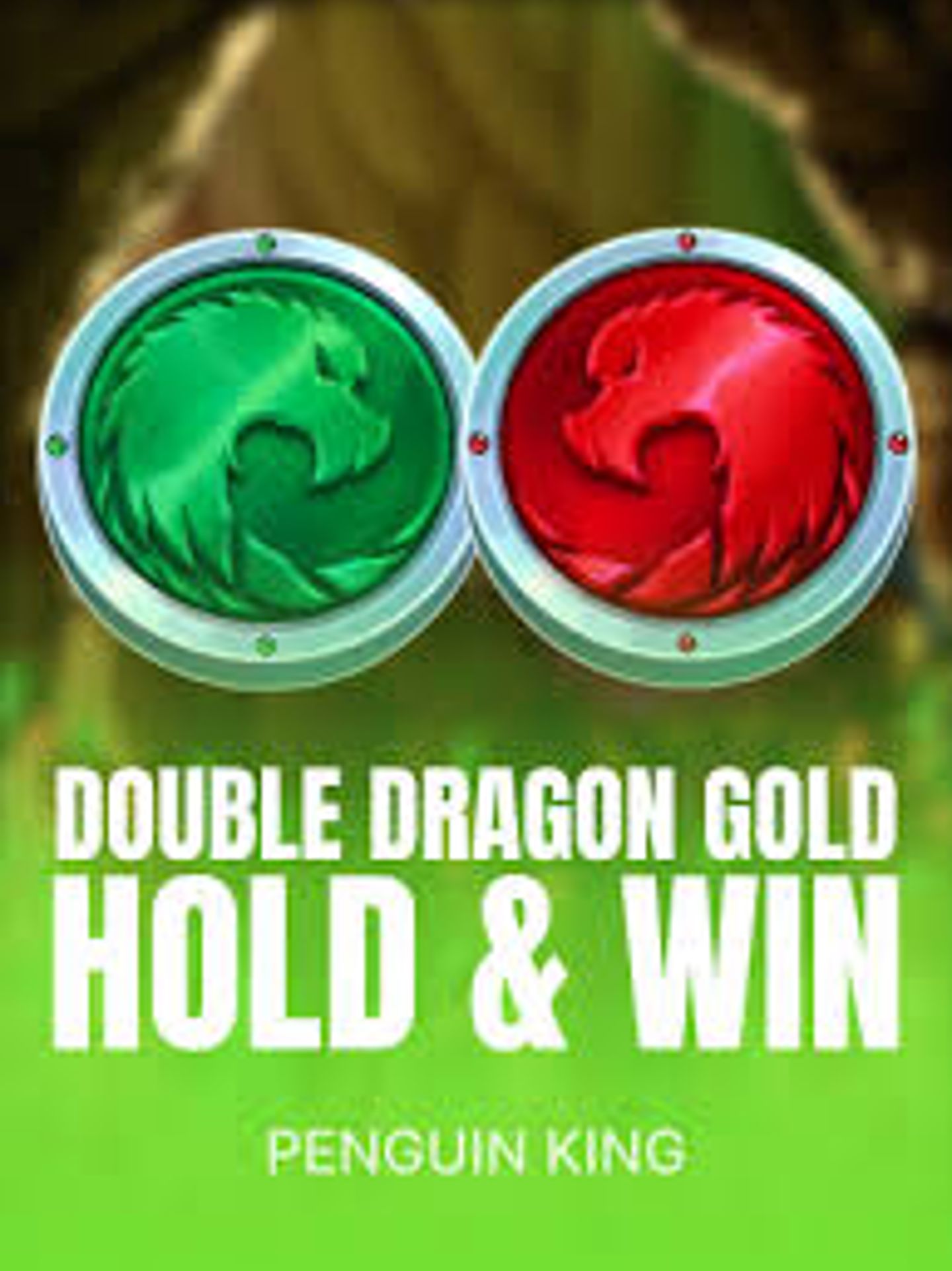 Double Dragon Gold: Hold & Win