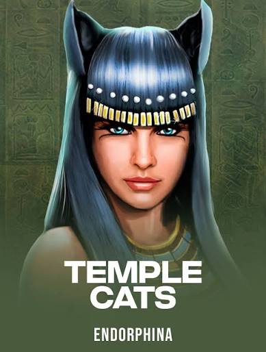 Temple Cats