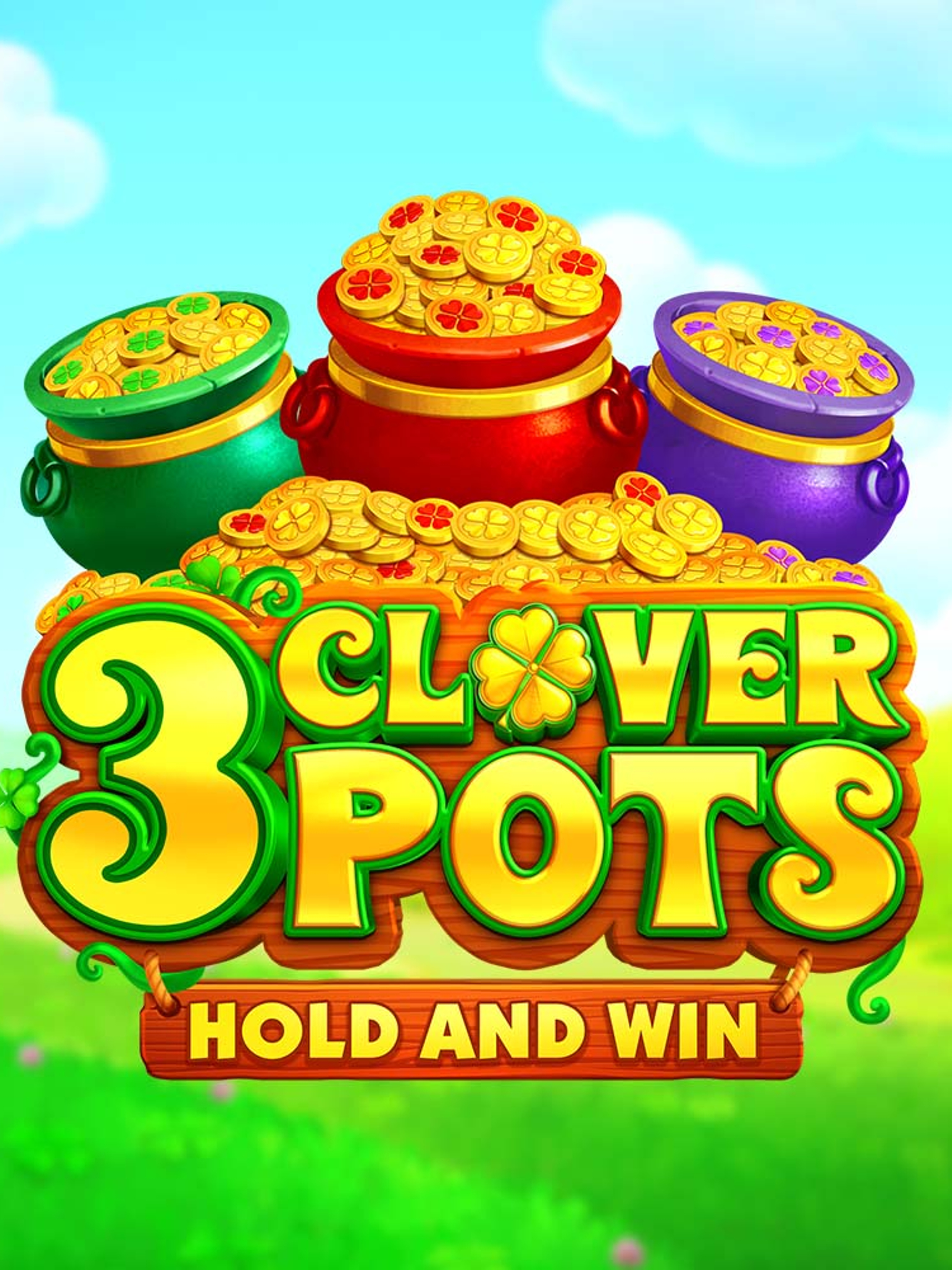 3 clover pots