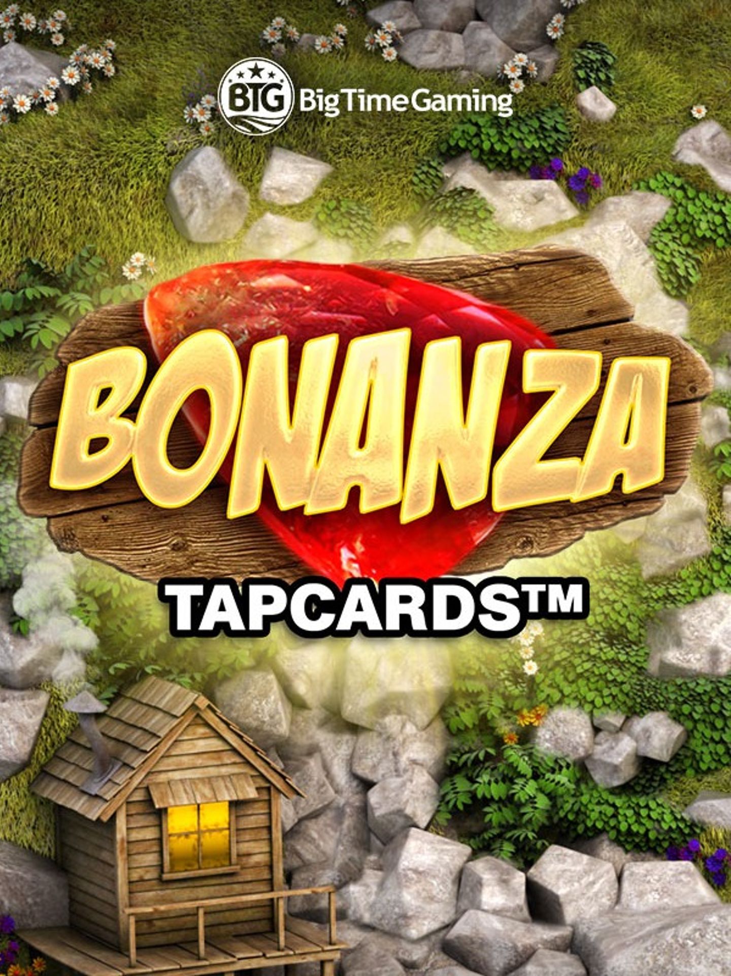Bonanza Tapcards