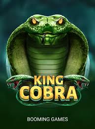 King Cobra
